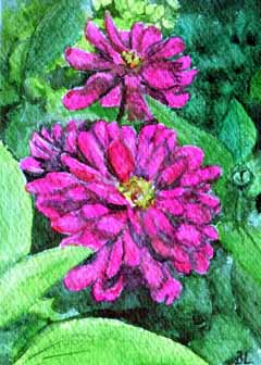 "Zinnias" by Beverly Larson, Fitchburg WI - Watercolor, SOLD